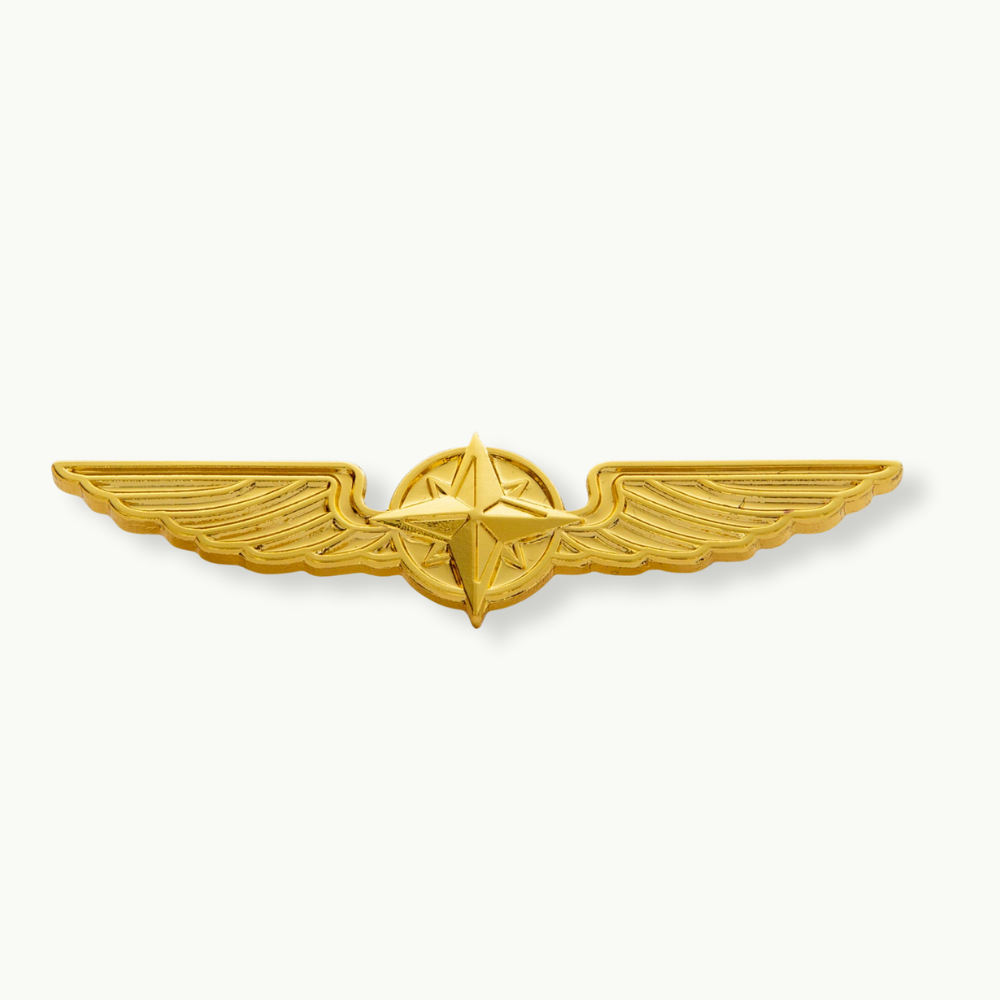 Pilot Wings